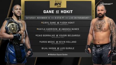 ufc 334