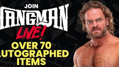 Hangman Adam Page WhatNot