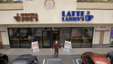 curb your enthusiasm