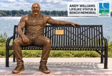 Andy Williams The Butcher