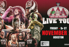 lucha libre aaa