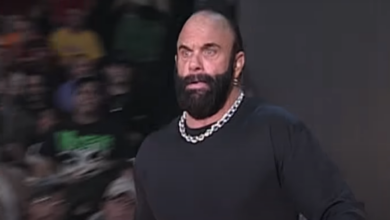 randy savage tna