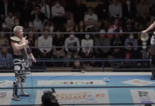 knockout brothers