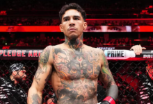 Andre Fili