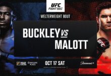 ufc fight night