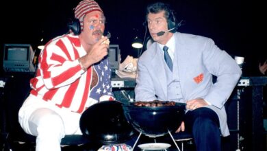 Michael Hayes, Vince McMahon