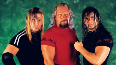 Jeff Hardy, Michael Hayes, Matt Hardy, The Hardys, The Hardy Boyz