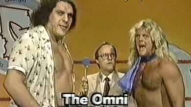 Andre the Giant, Michael Hayes