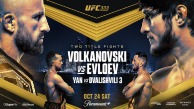 ufc 333