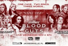 Triangle of Madness & Divine Dominion vs. The Brawling Birds, Willow Nightingale & Wrathlander, AEW Blood and Guts