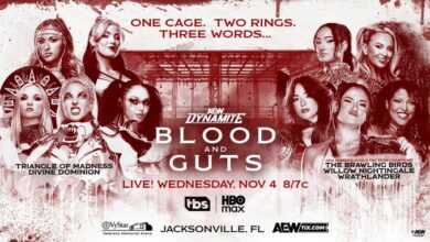 Triangle of Madness & Divine Dominion vs. The Brawling Birds, Willow Nightingale & Wrathlander, AEW Blood and Guts