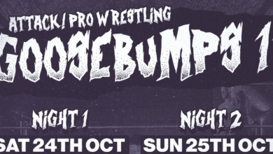 attack goosebumps 11