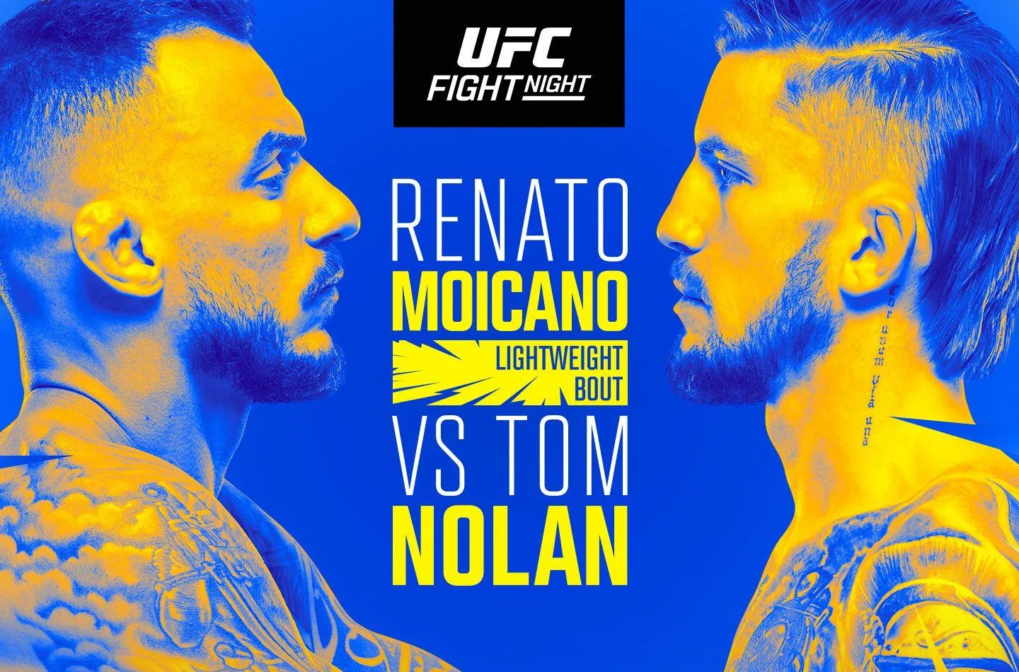 ufc fight night