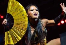Lei Ying Lee